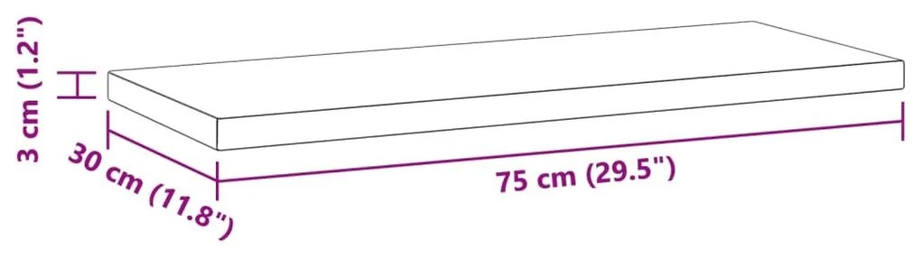 Ράφια Τοίχου 2Τεμ. Ασημί 75x30x3 εκ. Ανοξείδωτο Ατσάλι - Ασήμι