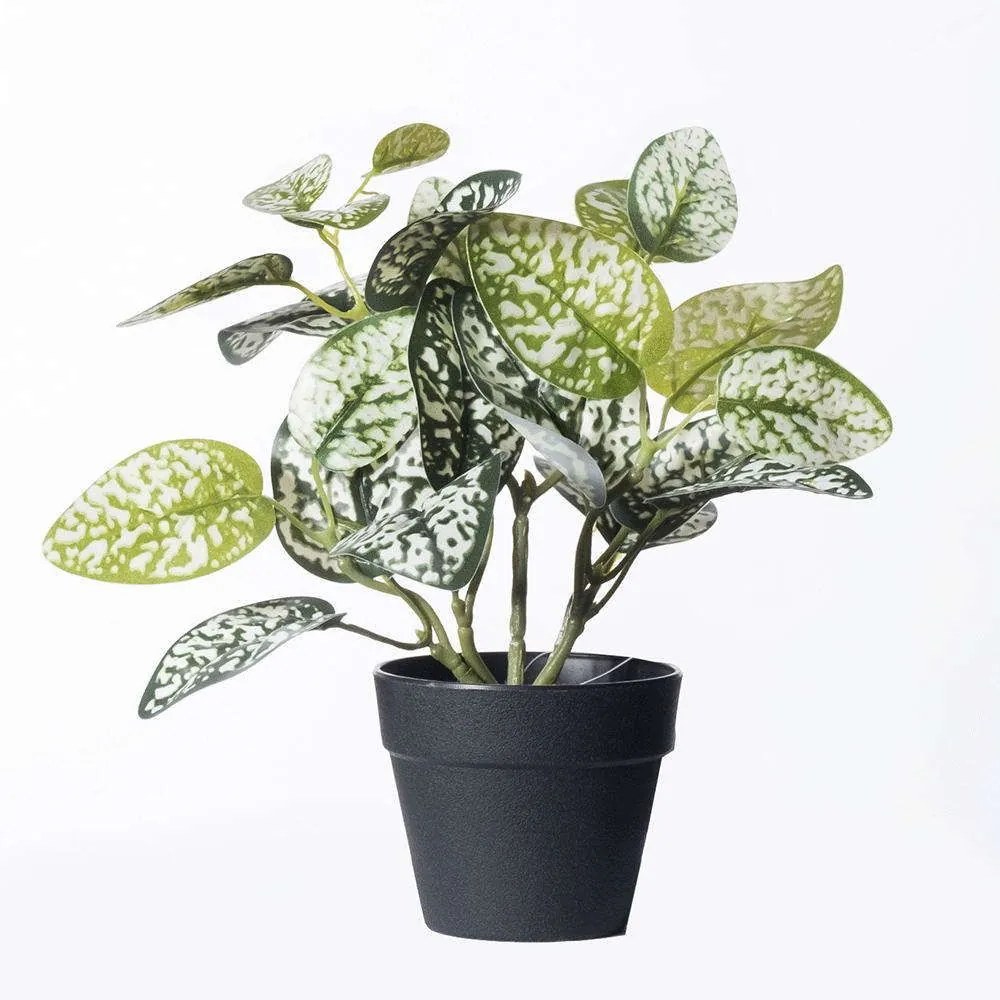 Τεχνητό Φυτό Πόλκα 7160-6 22x22x21cm Multi Supergreens Polyethylene