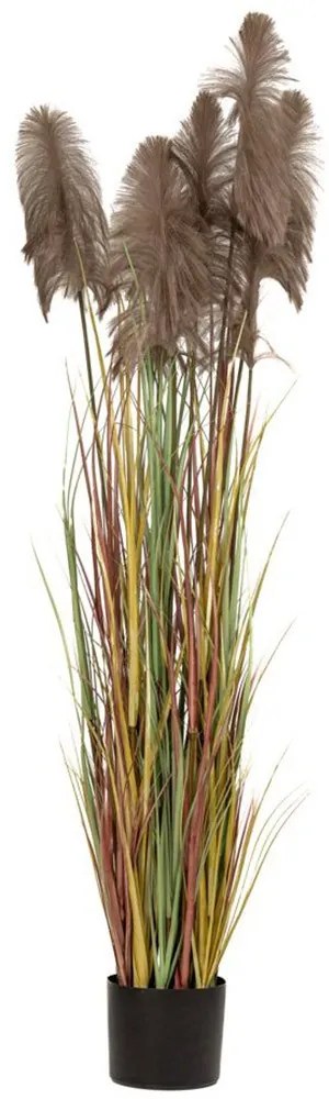 Φυτό Pampas 85072 23x220cm Brown-Green Πλαστικό