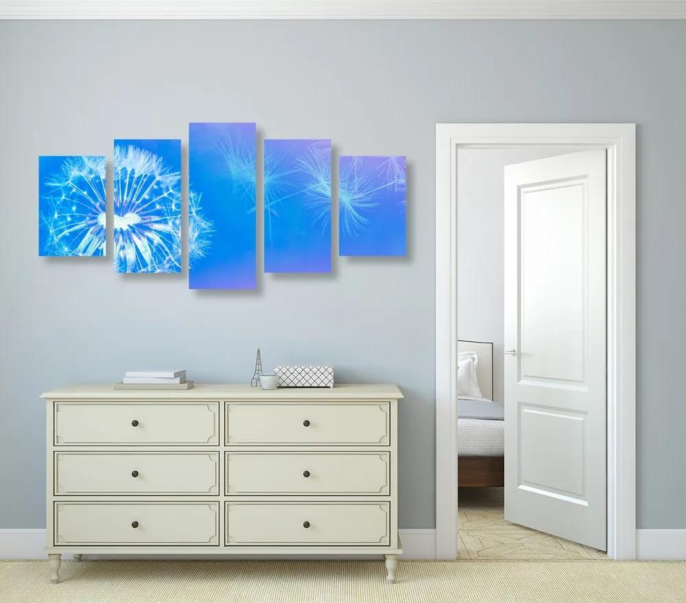 Εικόνα 5 μερών Πικραλίδα σε μπλε φόντο - 200x100
