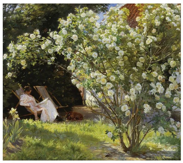 Εκτύπωση τέχνης Marie in the Garden (The Roses), Peder Severin Kroyer