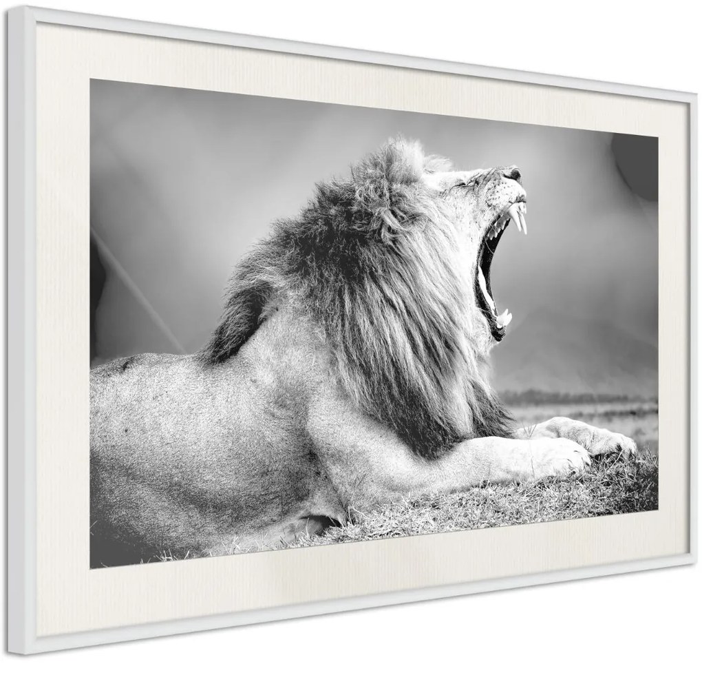 Αφίσα - Yawning Lion - 45x30 - Χρυσό - Χωρίς πασπαρτού