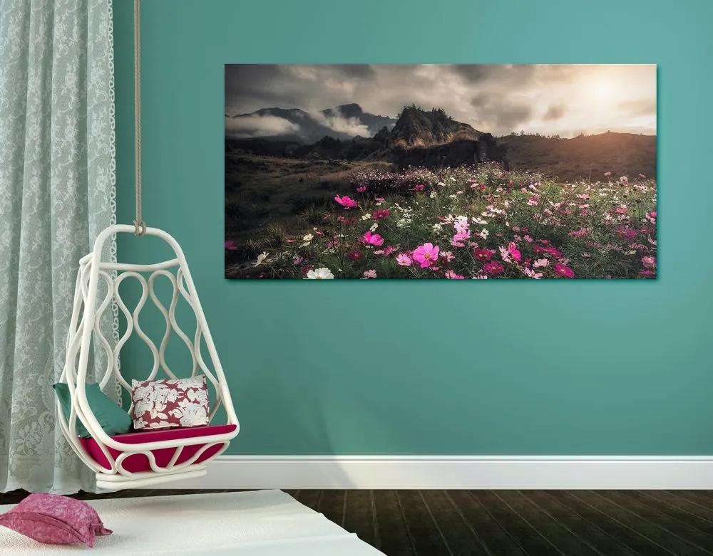 Εικόνα λιβάδι με ανθισμένα λουλούδια - 100x50