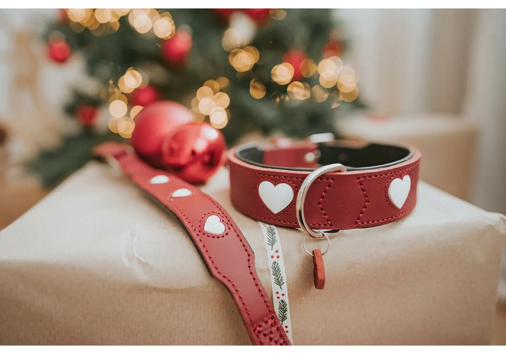 Κολλάρο Σκύλου Hunter Love XS/S 30-34 cm Rojo/Blanco