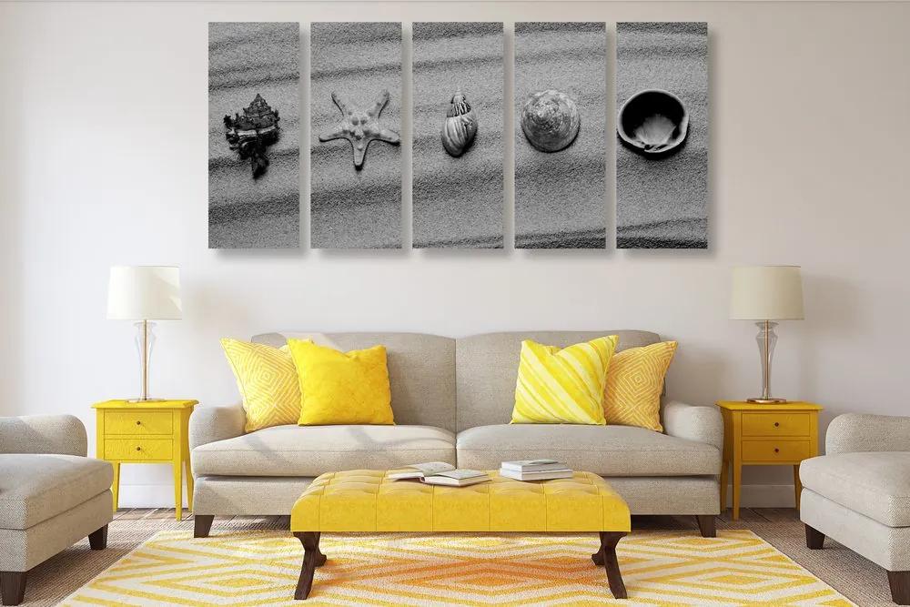 Εικόνα 5 μερών Κοχύλια σε αμμώδη παραλία σε μαύρο & άσπρο - 100x50