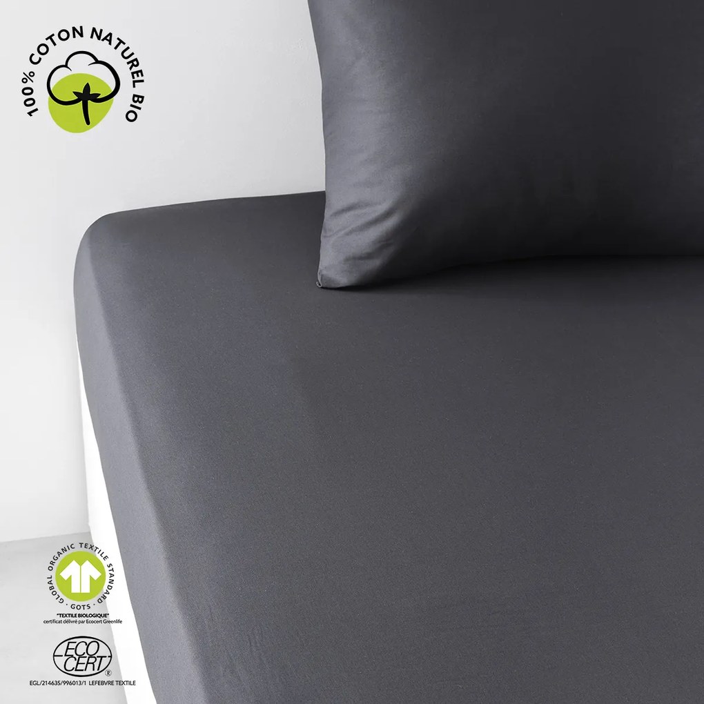 Σεντόνια με λάστιχο Today  DH 180/200+30 Coton TODAY Organic Fusain