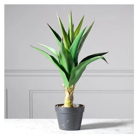 Supergreens Τεχνητό Φυτό Αγαύη "Agave" Πράσινο 66 εκ.