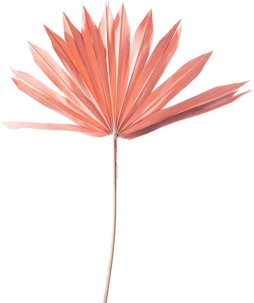 Τεχνητό Φύλλο Φοίνικας Serenoa 5081-7 30x30x50cm Pink Supergreens Leather,Plastic