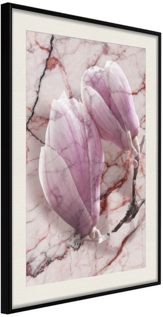 Αφίσα - Magnolia on Marble Background - 20x30 - Μαύρο - Με πασπαρτού