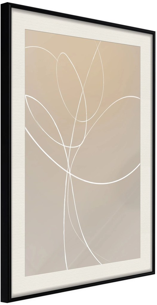 Αφίσα - White Tulip - 40x60 - Μαύρο - Με πασπαρτού