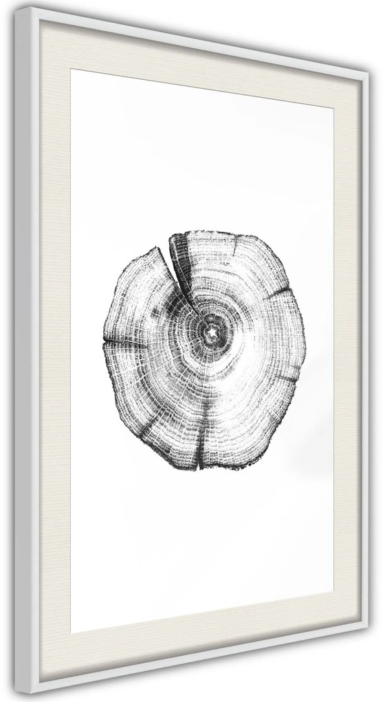 Αφίσα - Tree Rings - 20x30 - Χρυσό - Χωρίς πασπαρτού