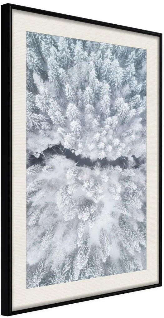 Αφίσα - Winter Forest From a Bird's Eye View - 30x45 - Μαύρο - Με πασπαρτού