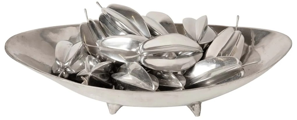 Decorative Fruit S Line  αστεροφρούτο SS140-Y1