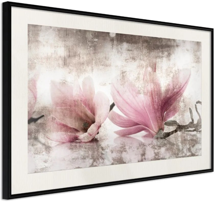 Αφίσα - Picked Magnolias - 60x40 - Μαύρο - Με πασπαρτού