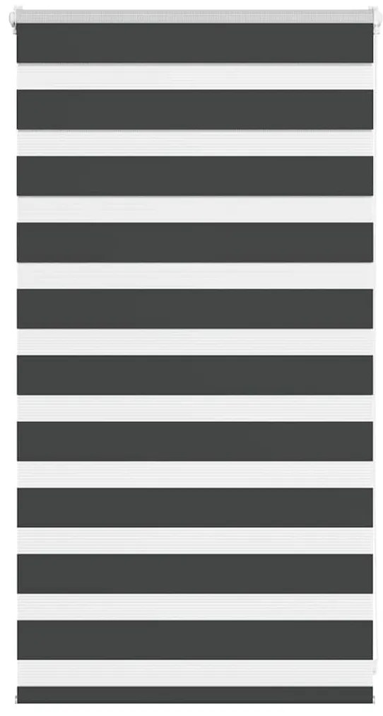 Ζέβρα τυφλή Μαύρο Πλάτος υφάσματος 85,9 εκ. Πολυεστέρας