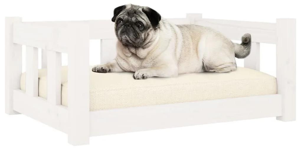 Κρεβάτι Σκύλου Λευκό 65,5x50,5x28 εκ. από Μασίφ Ξύλο Πεύκου - Λευκό