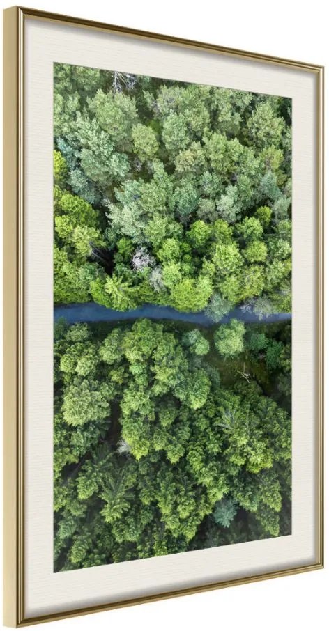 Αφίσα - Forest from a Bird's Eye View - 20x30 - Χρυσό - Με πασπαρτού