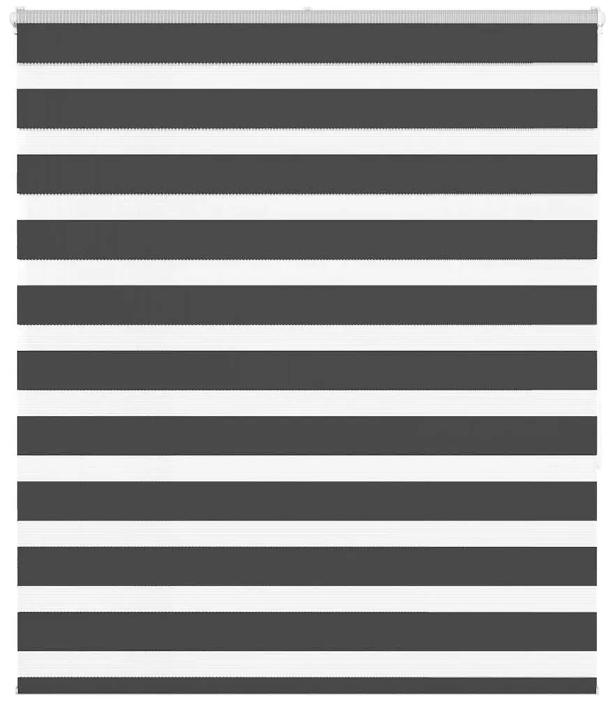 Ζέβρα τυφλή Μαύρο Πλάτος υφάσματος 130,9 εκ. Πολυεστέρας