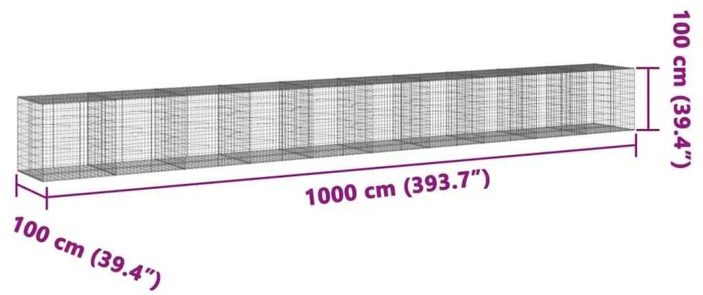 Συρματοκιβώτιο με Κάλυμμα 1000x100x100 εκ Γαλβανισμένο Χάλυβα - Ασήμι