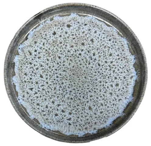 Πιάτο Ρηχό 21.5εκ. Κεραμικο Σχ.278 Νο.2021 - Vianagres - 6 ΤΜΧ