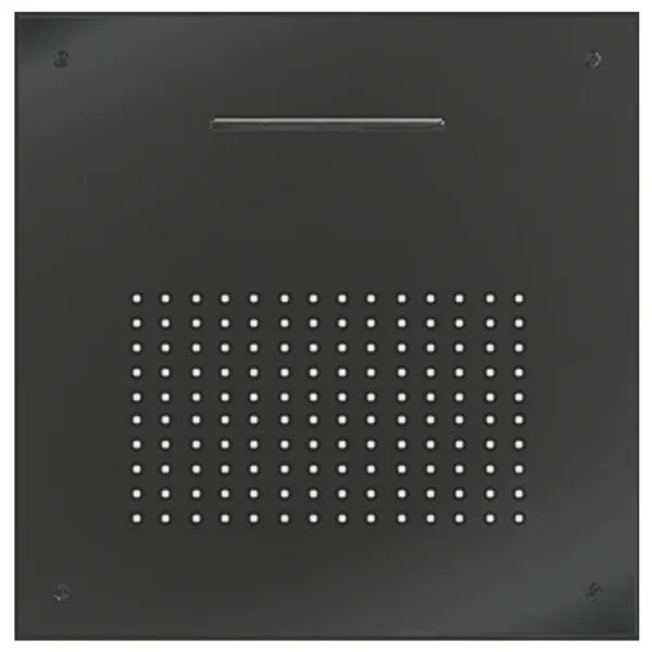 Almar Black Brushed PVD Κεφαλή εντοιχισμού οροφής 2 ροών