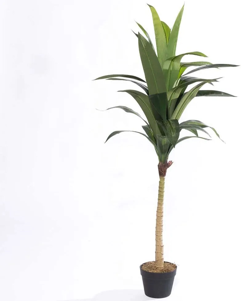 Τεχνητό Δέντρο Δράκαινα Vigor 4211-6 70x70x140cm Green Supergreens Πολυαιθυλένιο