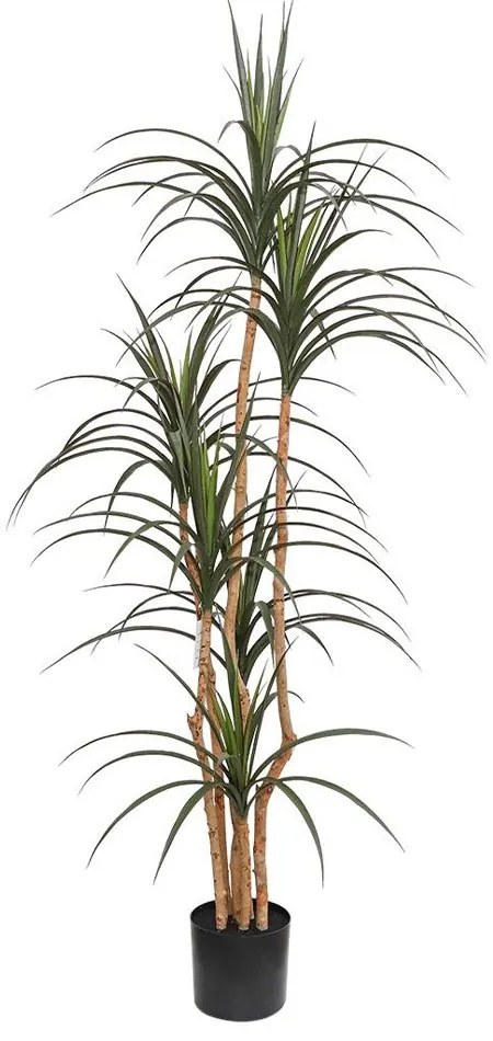 Τεχνητό Δέντρο Δράκαινα NP_325_180 180cm Green NewPlan Πλαστικό