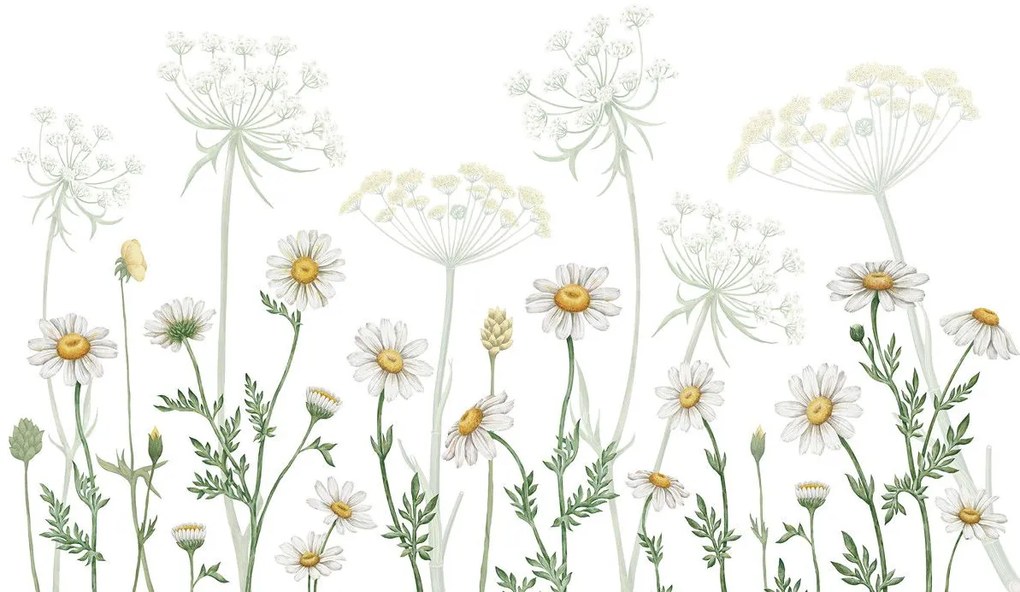 Dazzling Daisies Ταπετσαρια Τοιχου Λευκο Επιθυμητη Διασταση
