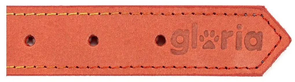 Κολλάρο Σκύλου Gloria Oasis Κόκκινο (70 x 3 cm)