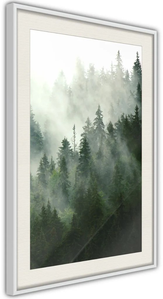 Αφίσα - Steaming Forest - 20x30 - Χρυσό - Με πασπαρτού