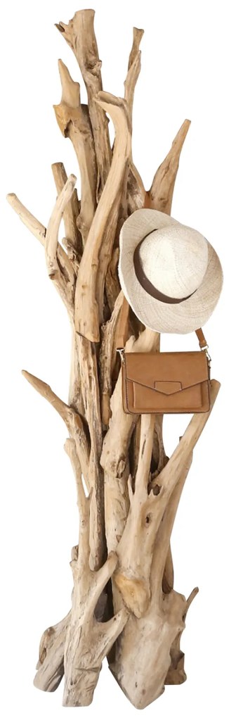 ΚΑΛΟΓΕΡΟΣ HM9367 ΑΠΟ ΜΑΣΙΦ ΞΥΛΟ TEAK ΦΥΣΙΚΟ 170-200ΕΚ. - 0503214 - HM9367
