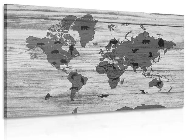Εικόνα ασπρόμαυρο χάρτη σε ξύλινο φόντο - 60x40