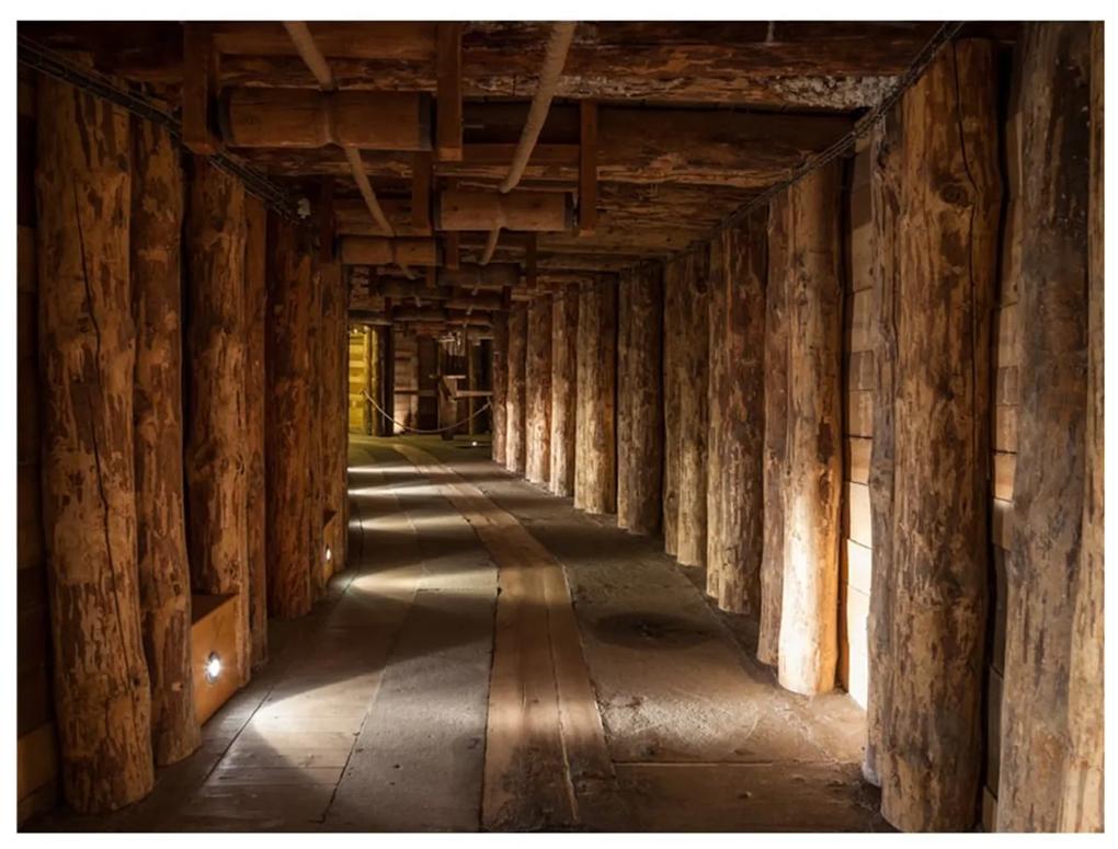 Φωτοταπετσαρία - Wooden passage 200x154