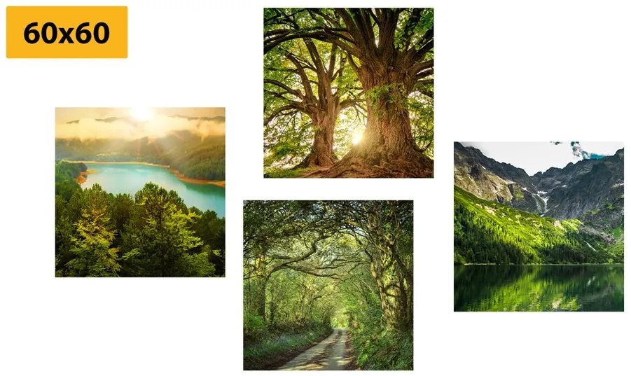 Σετ εικόνων με όμορφη πράσινη φύση