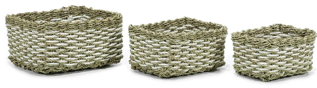 Σετ 3 Καλάθια Πράσινο/Λευκό Seagrass/Κορδόνι Χάρτου 25x17x12cm