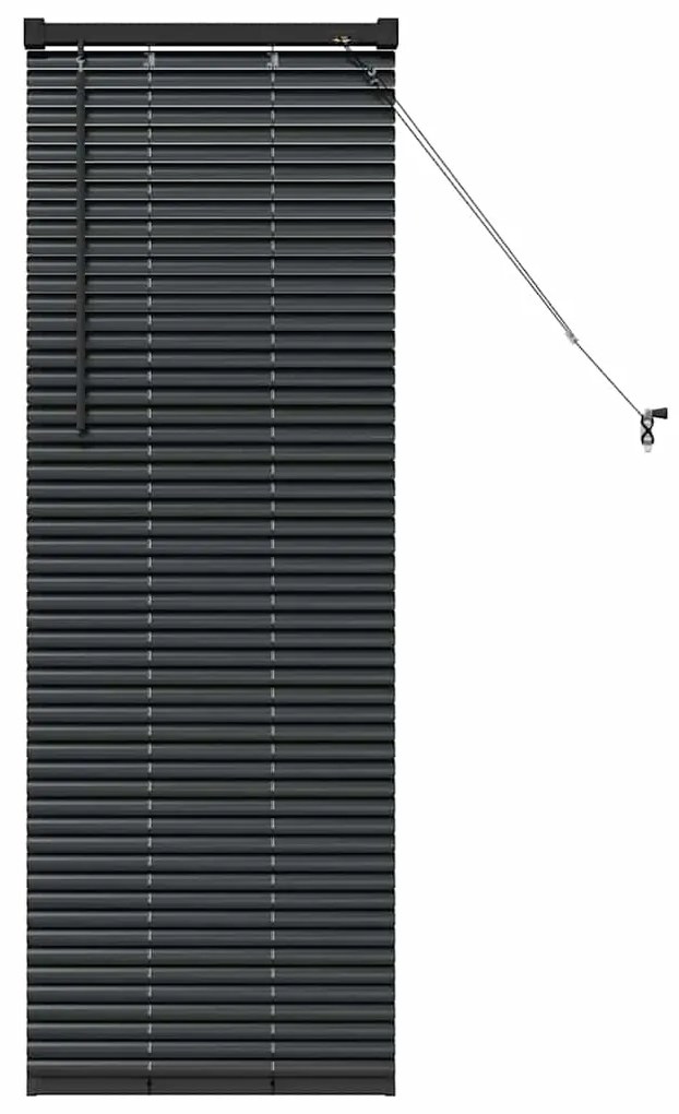 vidaXL Ρολό Παραθύρου με κουρτίνες Μαύρο Αλουμίνιο