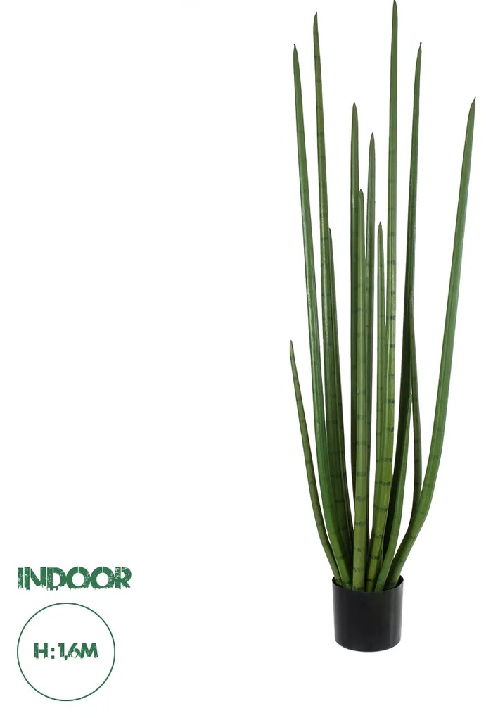 Artificial Garden SANSEVIERIA CYLINDRICA 20211 Τεχνητό Διακοσμητικό Φυτό Σανσεβιέρια Υ160cm