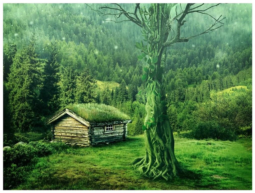 Φωτοταπετσαρία - Green seclusion 250x193