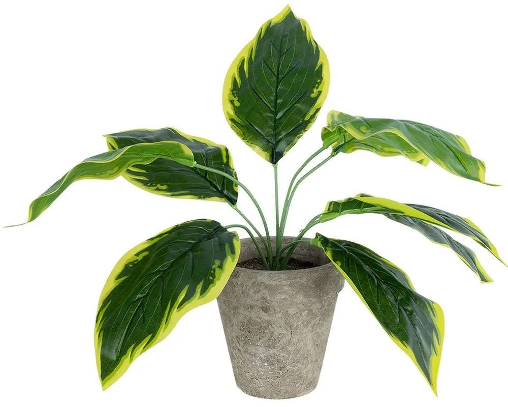 Τεχνητό Φυτό Σε Κασπώ Hosta 20899 Φ45x40cm Multi GloboStar Cement,Fabric