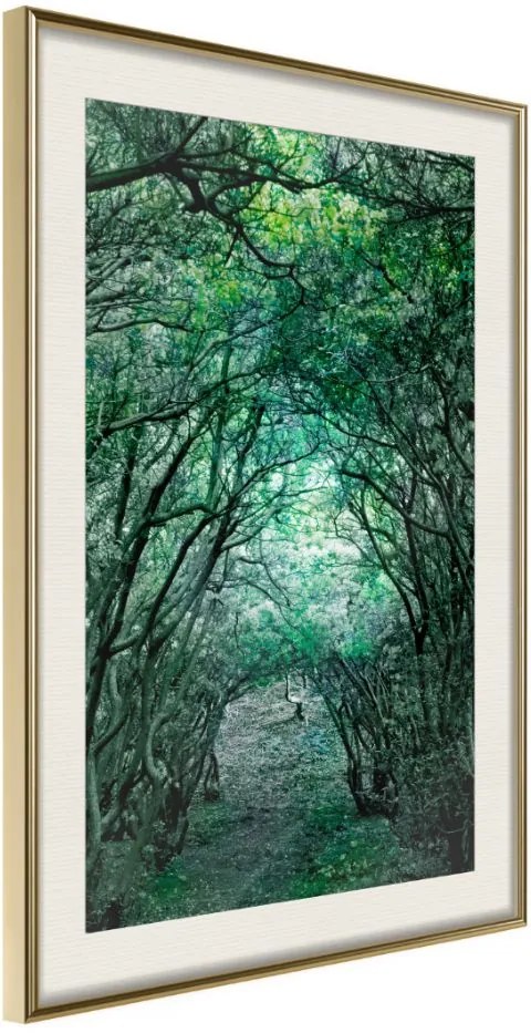 Αφίσα - Tree Tunnel - 20x30 - Χρυσό - Με πασπαρτού