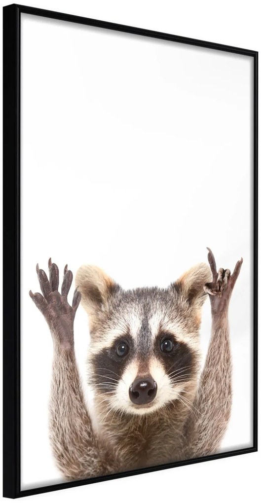 Αφίσα - Funny Racoon - 30x45 - Μαύρο - Χωρίς πασπαρτού