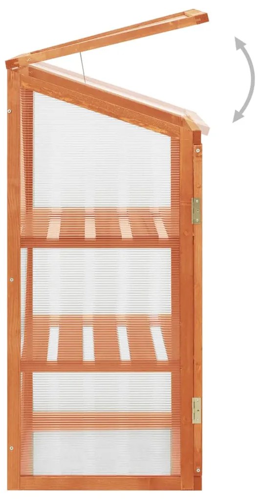 vidaXL Θερμοκήπιο 60 x 45 x 100 εκ. από Ξύλο Ελάτης