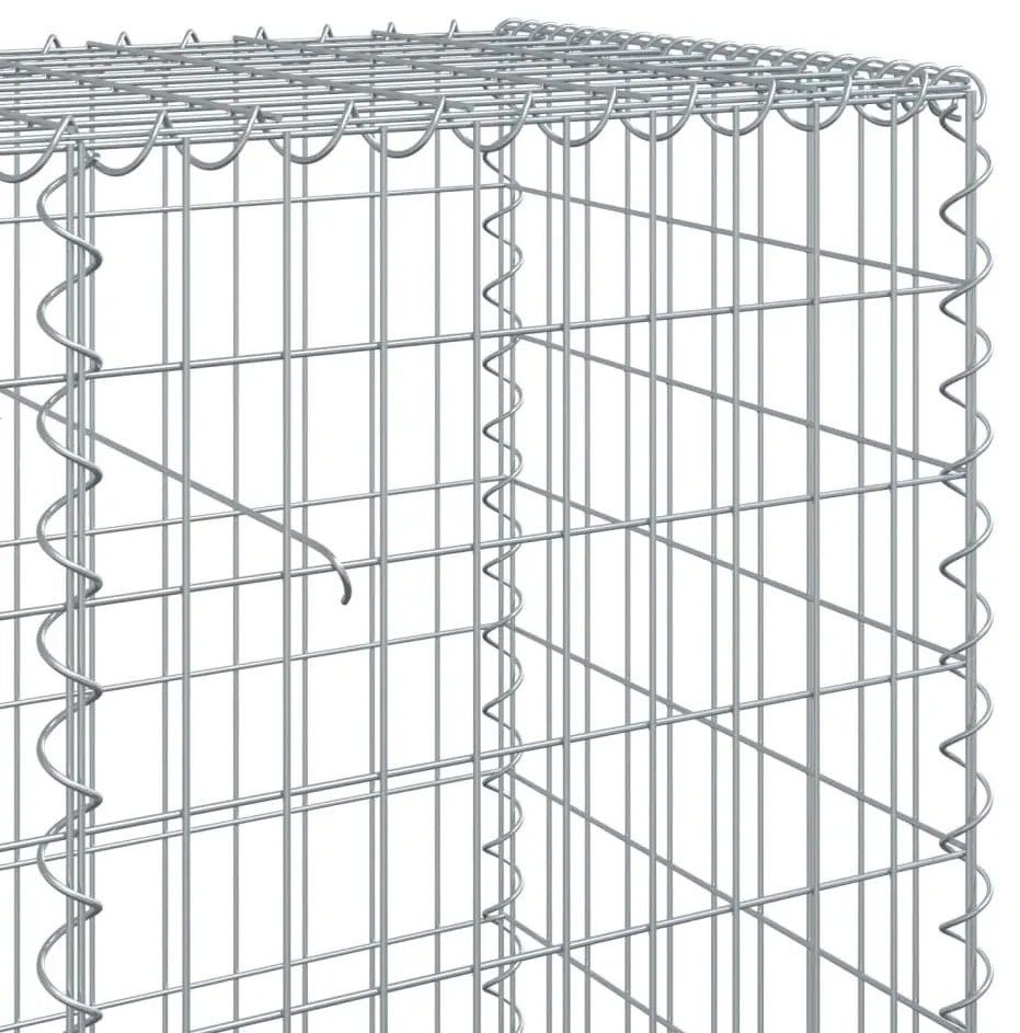 vidaXL Συρματοκιβώτιο με Κάλυμμα 1100x50x100εκ από Γαλβανισμένο Χάλυβα