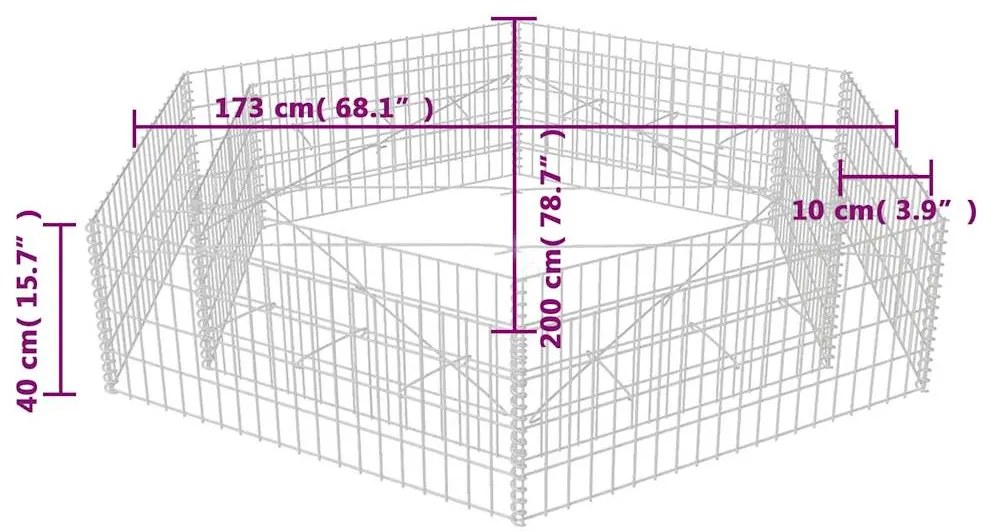 vidaXL Συρματοκιβώτιο - Γλάστρα Υπερυψωμένη Εξάγωνη 200 x 173 x 40 εκ.