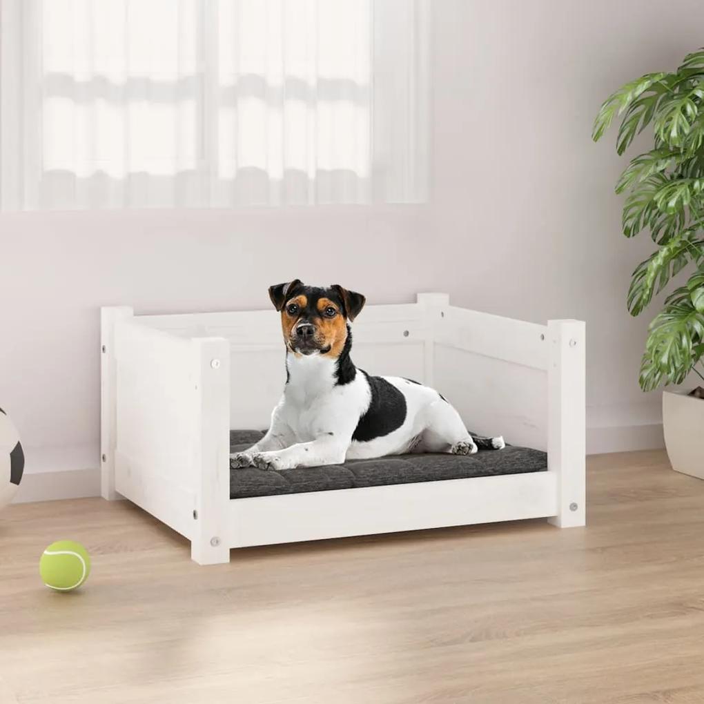 Κρεβάτι Σκύλου άσπρο 55,5x45,5x28 εκ. από Μασίφ Ξύλο Πεύκου