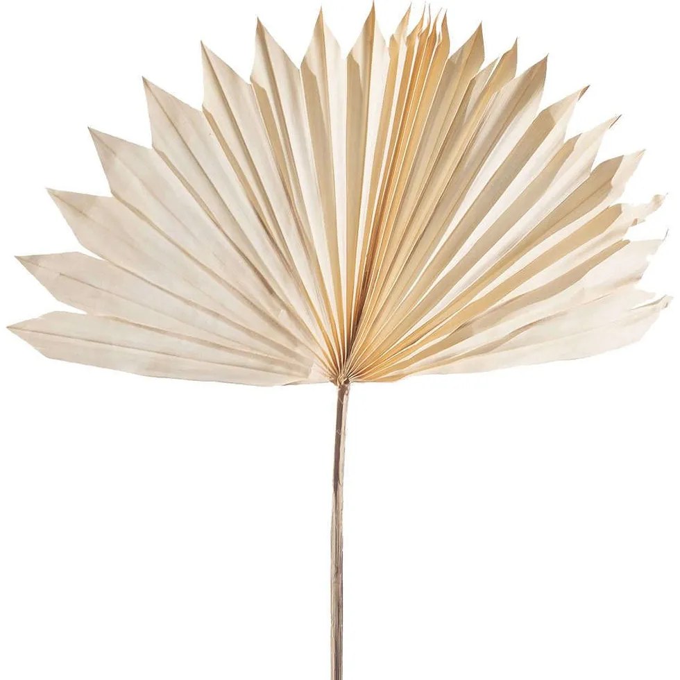 Τεχνητό Φύλλο Φοίνικας Serenoa 4081-7 30x30x50cm White Supergreens Leather,Plastic