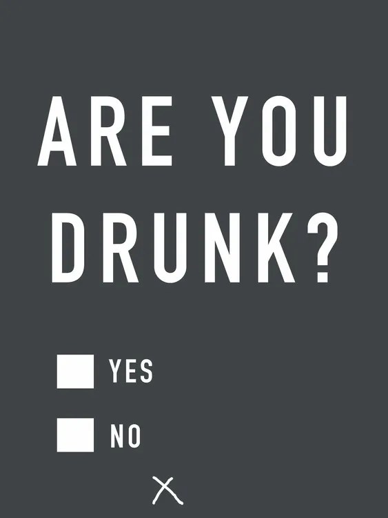 Εικονογράφηση Are you drunk, Finlay & Noa
