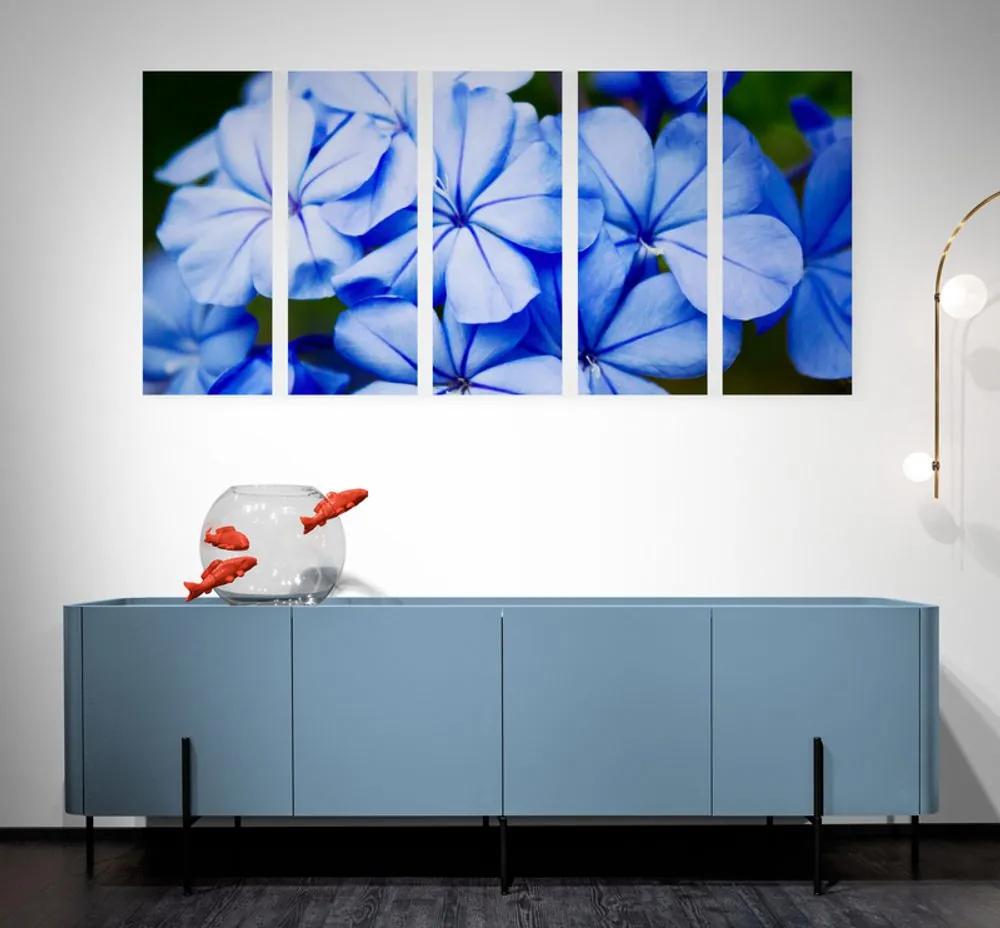 Εικόνα 5 τμημάτων μπλε μπλε λουλούδια - 200x100
