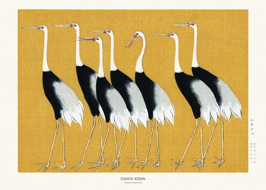 Studio Collection - Εκτύπωση έργου τέχνης Japanese Red Crown Crane, (40 x 30 cm)