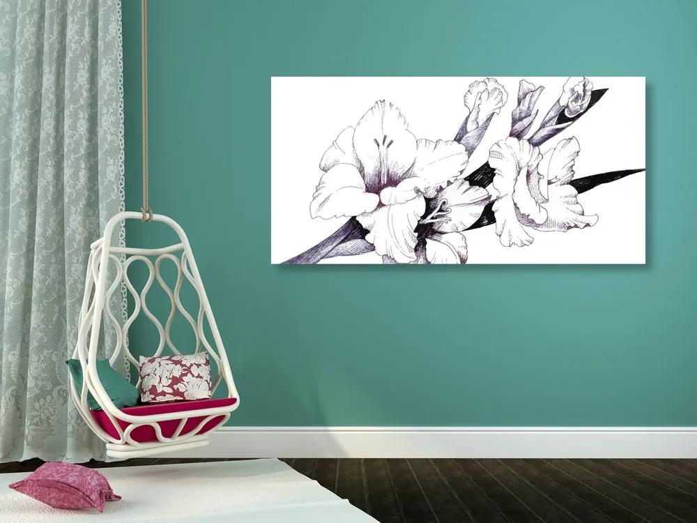 Εικονογράφηση μιας ανθισμένης γλαδιόλας - 100x50